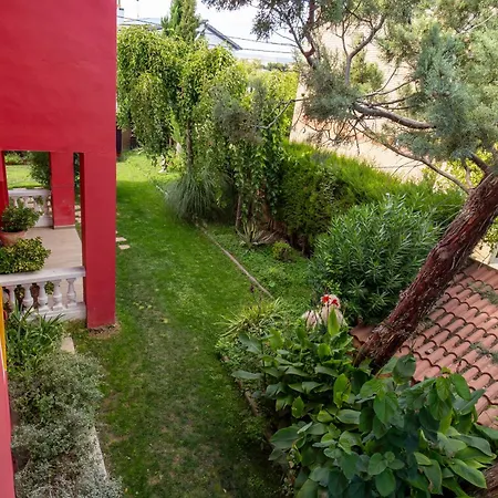 El Campo *
