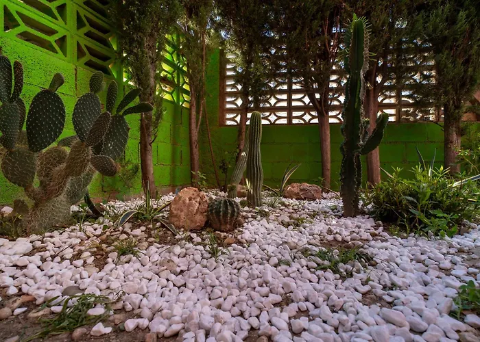 El Campo 사라고사